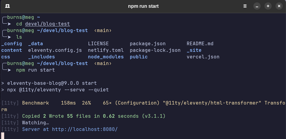 Screenshot of the Ghostty terminal with Oh My Zsh theme.