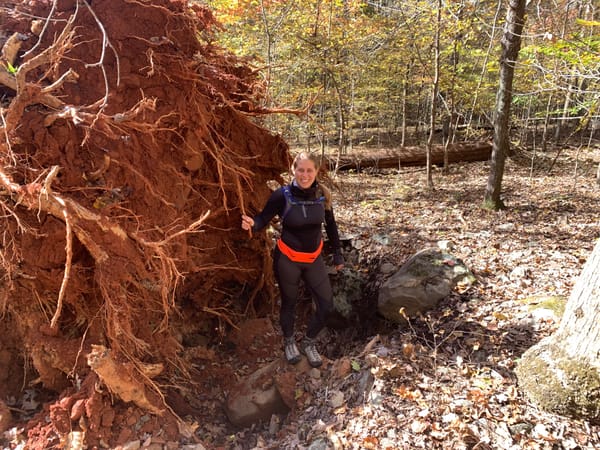 Hiking: New Hope Creek North